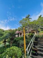 ��ҹ ����ԧ