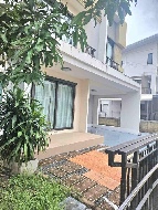 ��ҹ ������