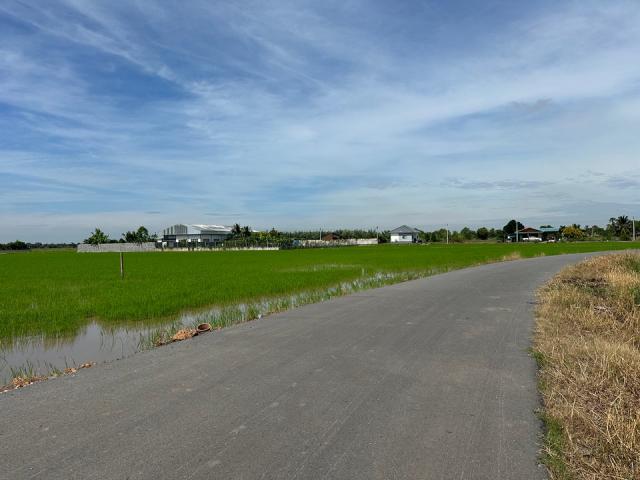 ��·��Թ ˹ͧ�͡