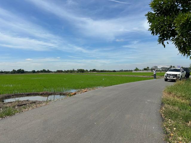 ��·��Թ ˹ͧ�͡