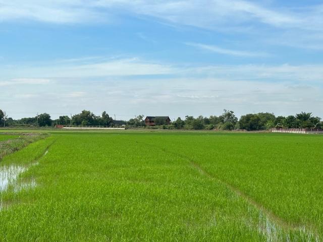 ��·��Թ ˹ͧ�͡