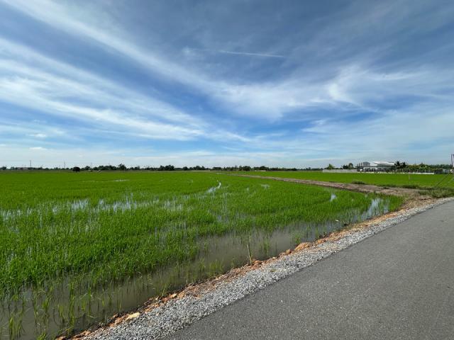 ��·��Թ ˹ͧ�͡