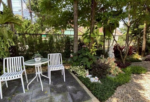 ��º�ҹ �ѹ���� ��§����