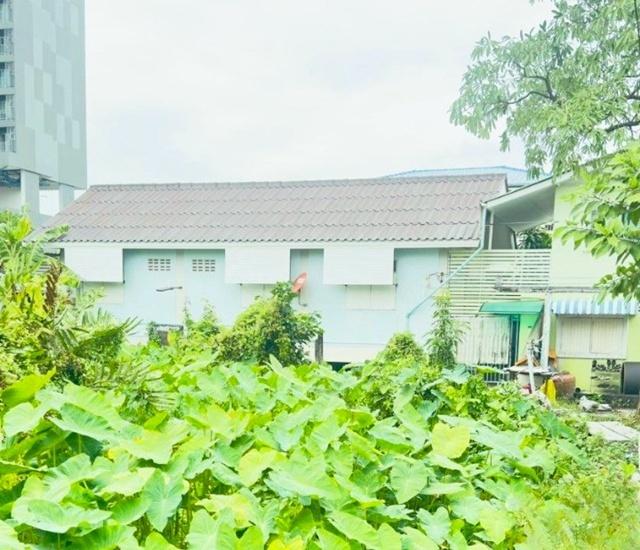 ��ҹ �.����