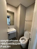 ������ �͹� ��بѡ�