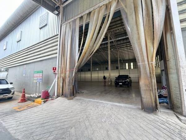 ⡴ѧ �Ѵ��ҧ��ҧ���