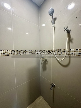 ��¤͹� �ҧ�л�