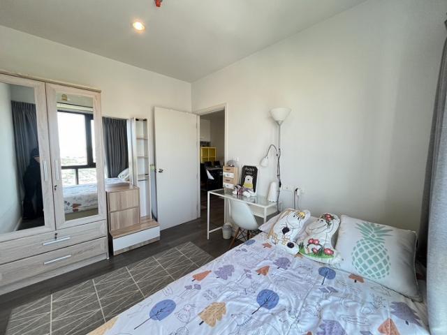 �͹���Թ �ҧ����