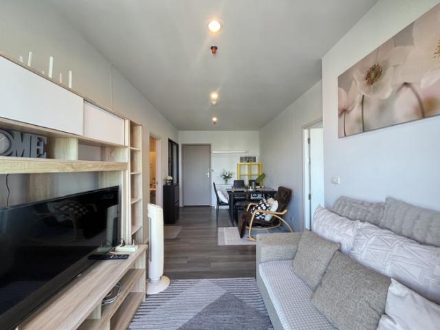 �͹�������ͧ �ҧ����