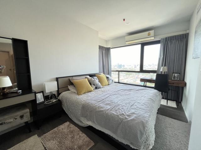 �͹ⴾ����������� �ҧ����