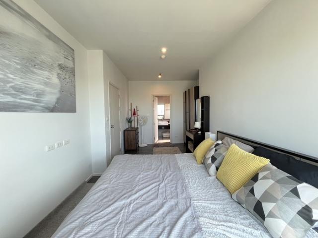 �͹��������� �ҧ����