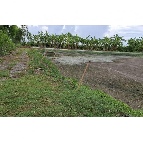 ���Թ��������ͧ