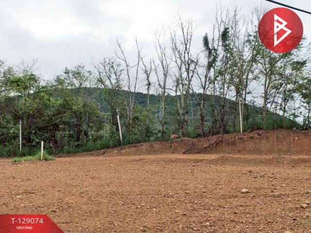 ��·��Թ �觡�Шҹ ྪú���