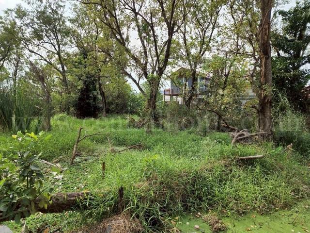 ��·��Թ �ҧ���� �������