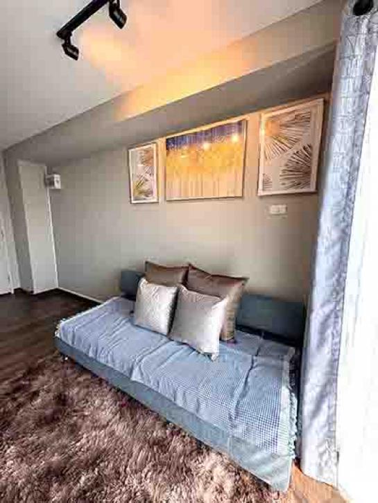 �͹������� ���ͧ��§������§����