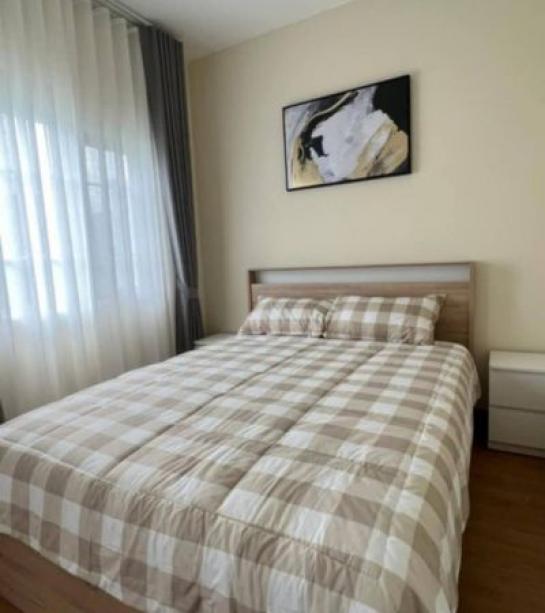 ��ǹ�������������ú ��§����