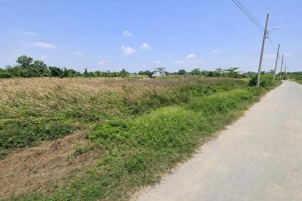 ��¡ҭ������ �� Estate Corner