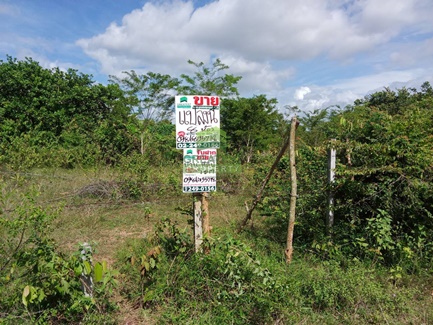 ��·��Թ �ҧ���� ʧ���