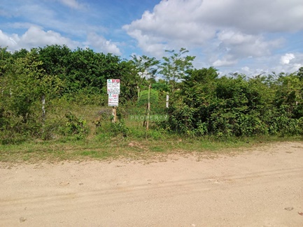 ��·��Թ �ҧ���� ʧ���