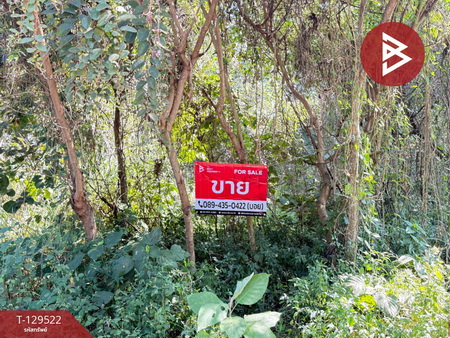 The Best Property Agent