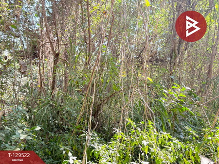 ��·��Թ �ѹ��ҵͧ ��§����