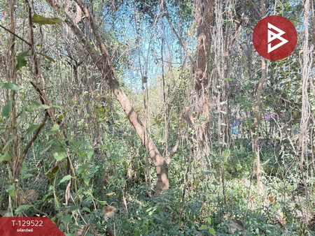 ��·��Թ �ѹ��ҵͧ ��§����