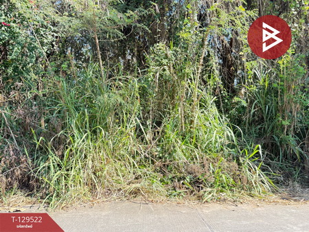 ��·��Թ �ѹ��ҵͧ ��§����