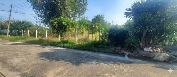 ��·��Թ ���ͧ�����ҹ� �����ҹ�