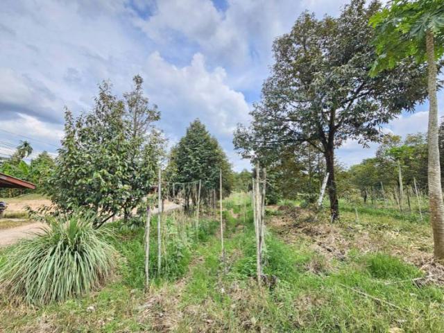 ��·��Թ �������� �ѹ�����