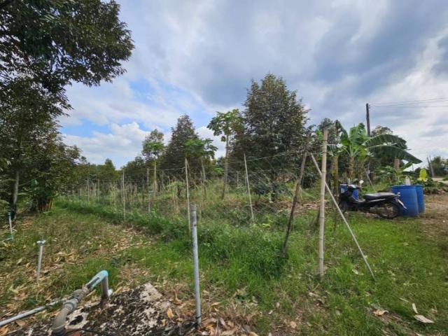 ��·��Թ �������� �ѹ�����