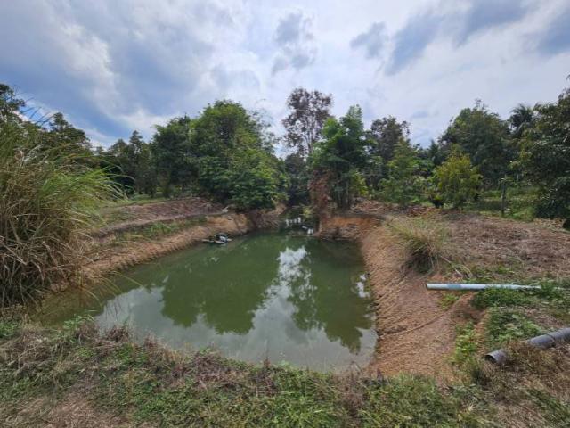 ��·��Թ �������� �ѹ�����