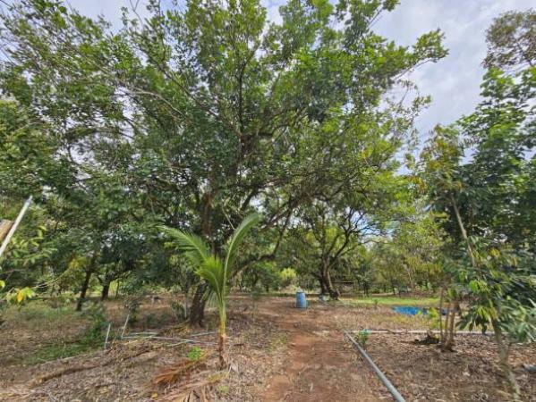 ��·��Թ �������� �ѹ�����