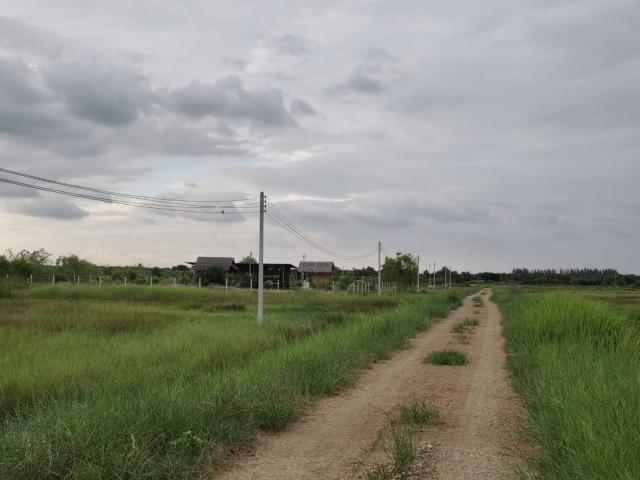 ��·��Թ ͧ��ѡ�� ��ù�¡