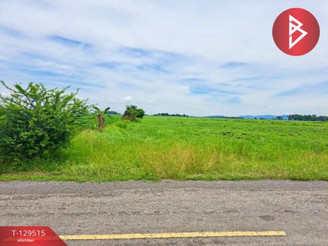 The Best Property Agent