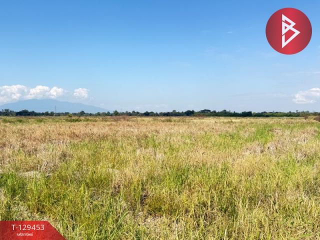 The Best Property Agent