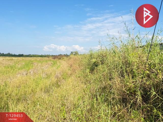 ��·��Թ �ѹ��ᾧ ��§����