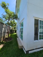 ��ҹ �͹���ͧ 51 ���ҧ��