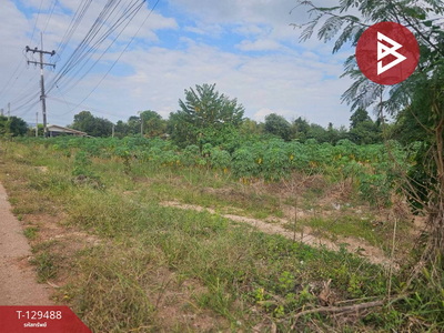 ��·��Թ �ҳ����ѡɺ��� ��ᾧྪ�