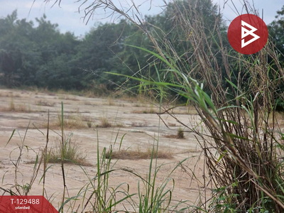 ��·��Թ �ҳ����ѡɺ��� ��ᾧྪ�