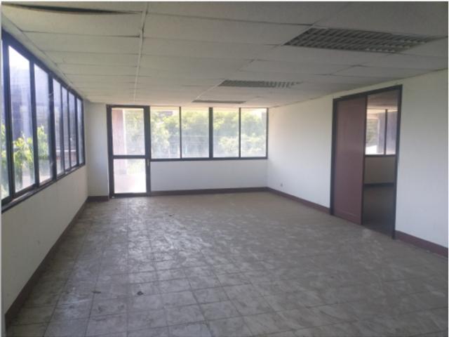 �͹������� ���ͧ��§������§����