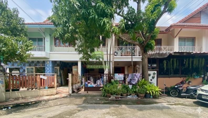 ��ǹ�������