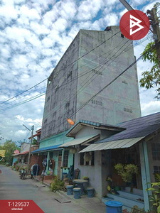 The Best Property Agent