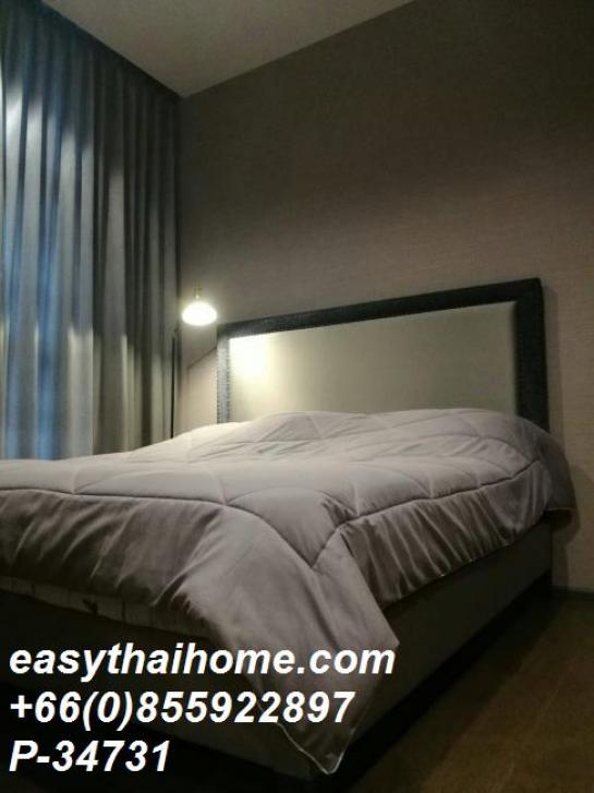 ��¤͹� �ҧ�ѡ