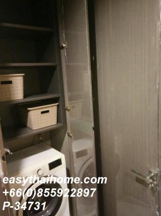 ��¤͹� �ҧ�ѡ