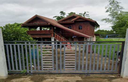 ��ҹ�����