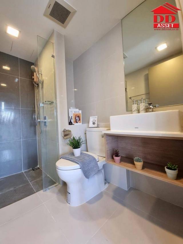 ��¤͹� ���⢹�