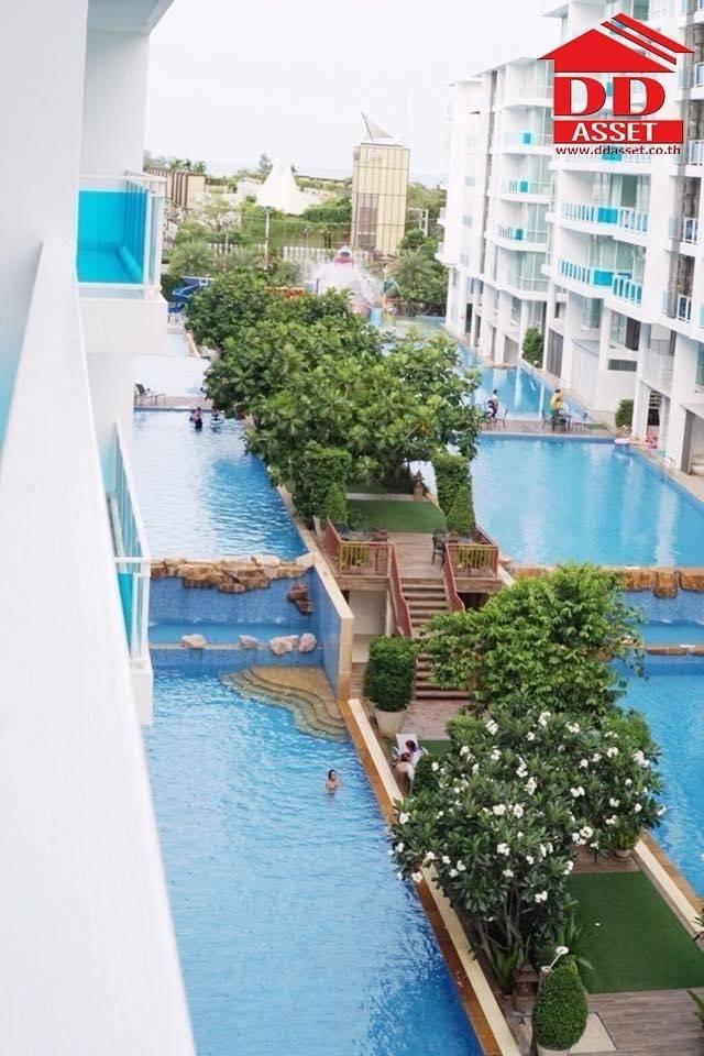 ��¤͹� ����Թ ��ШǺ���բѹ��