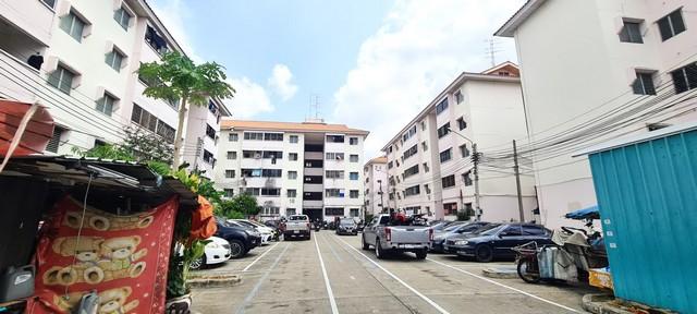 ��¤͹� ������