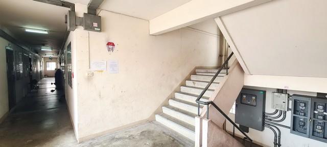 ��¤͹� ������