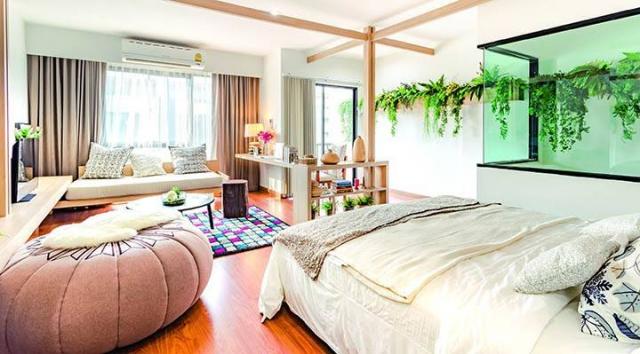 ��ǹ���������������� �չ����